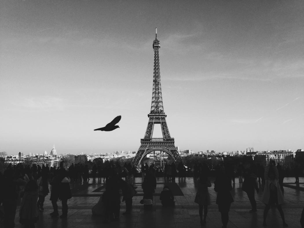 Louis Pellissier, Unsplash. Louis Pellissier, Unsplash.