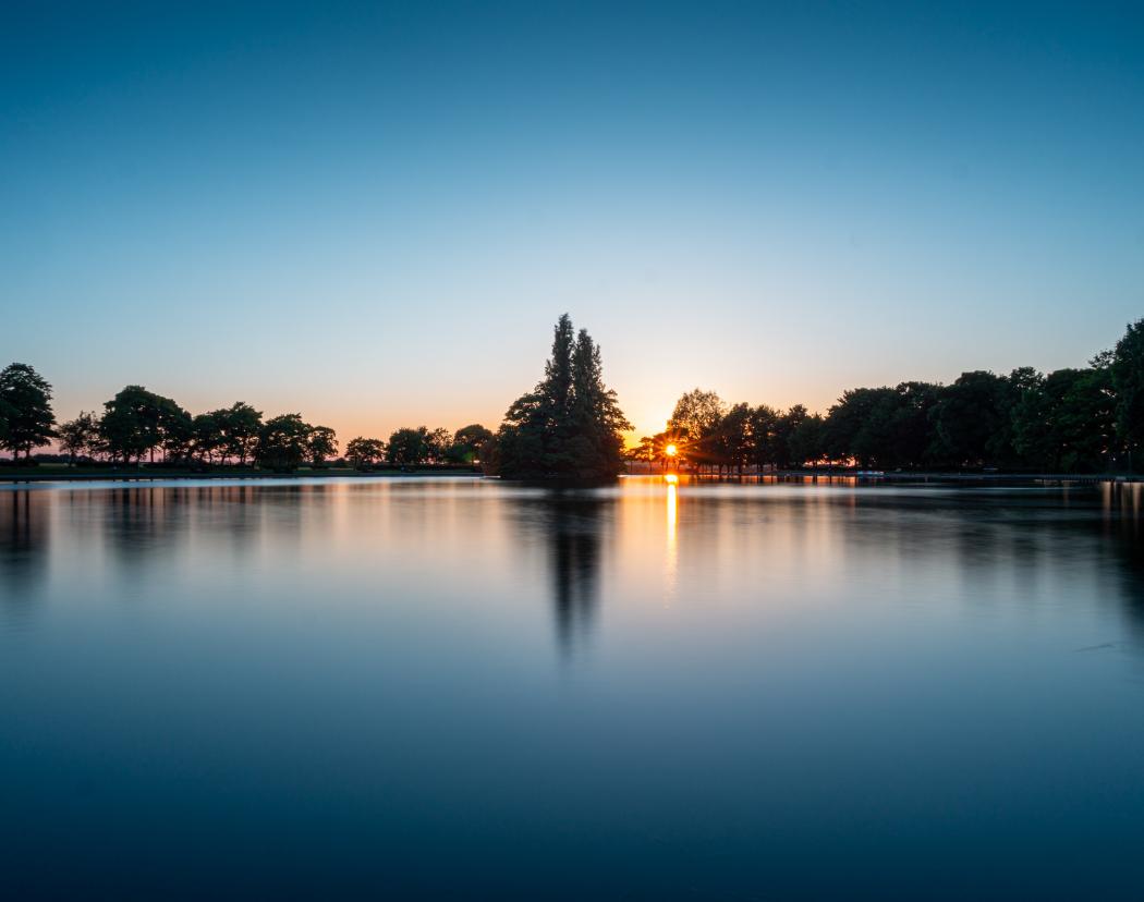 Crédit photo : Unsplash/Dave Ellis