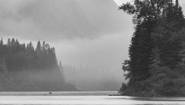 Eric LF, Flickr.